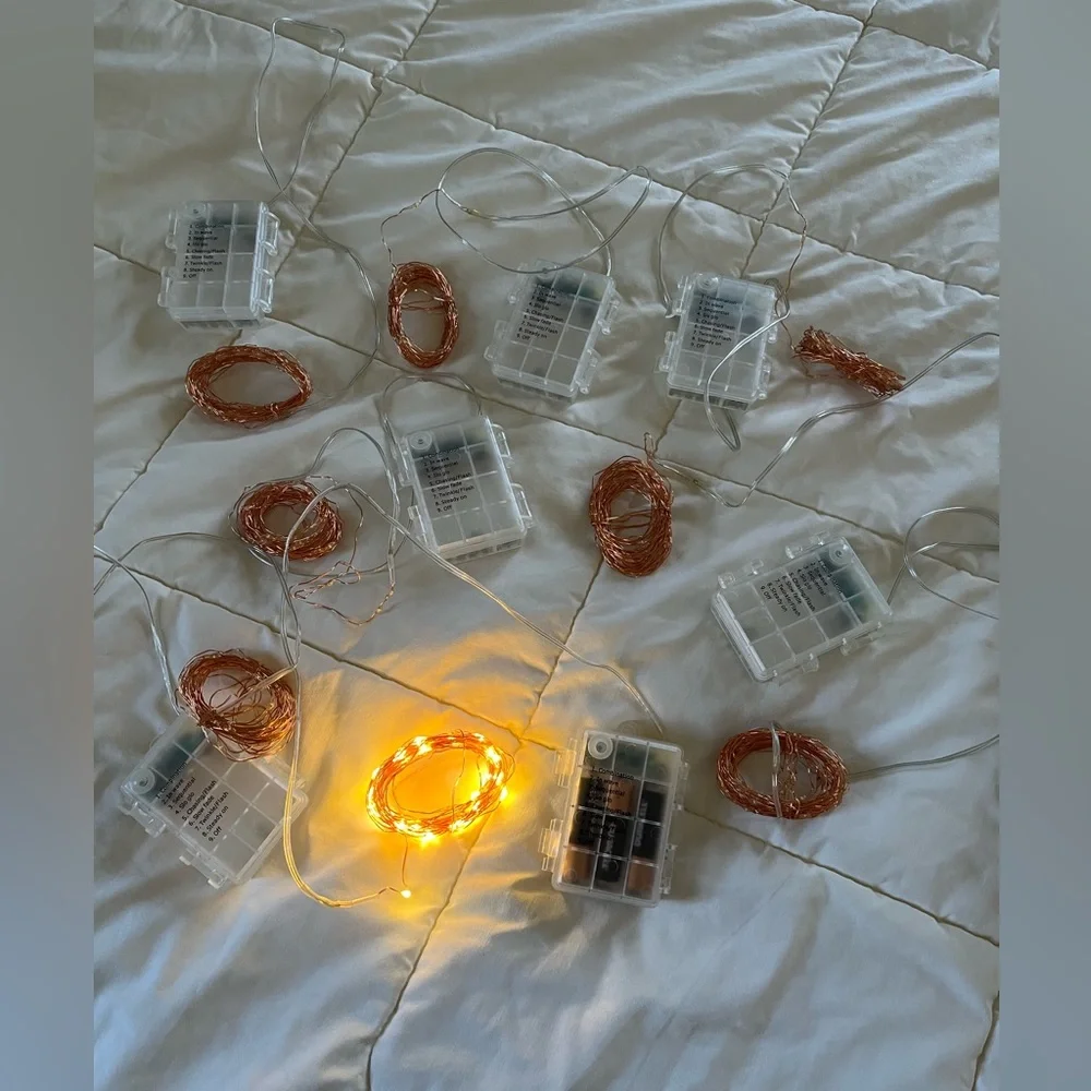 Copper Wire LED Fairy Lights 8 setting AA Battery Powered w/ Remote and Timer